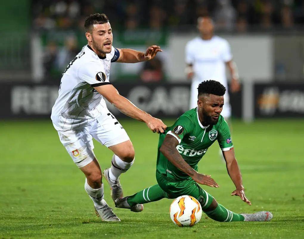 灰熊困境 灰熊困境