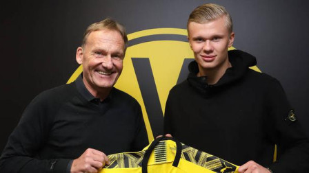 创作者可提 创作者可提